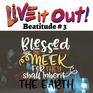Beatitude # 3 Meekness is not weakness