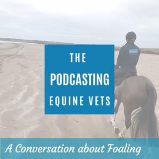 A Conversation About Foaling