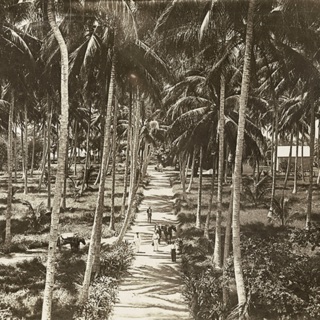 Episode 3.2 The Battle of Bita Paka