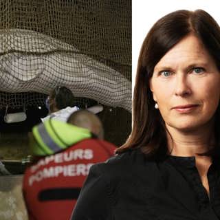 Den döda vitvalen i Seine påminner om en sommar med nödläge för klimatet: Cecilia Blomberg, Paris