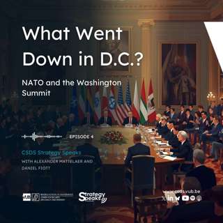 What Went Down in D.C.? NATO and the Washington Summit