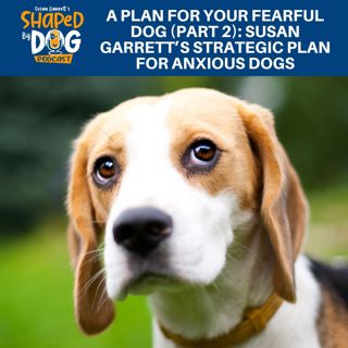 A Plan For Your Fearful Dog (Part 2): Susan Garrett's Strategic Plan For Anxious Dogs #237