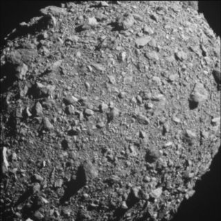 Cosmic Queries – Asteroid Hunters with Marina Brozovic