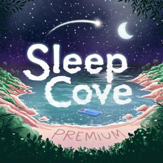 Embrace Self-Confidence & Self-Love - Powerful Deep Sleep Hypnosis with Ocean Waves (Premium)