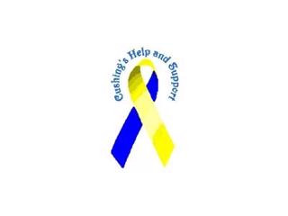 Cushing's Help Organization - Mary O'Connor