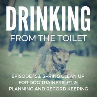 #157: Rescuing RiffRaff, Pt 2: Placing a Dog With a Bite History with Gaby Boijsen