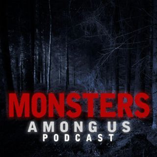 S4 Ep2: Sn. 4 Ep. 2 - Creature in the bushes, a giant maggot, a giant bird and a coincidental spirit