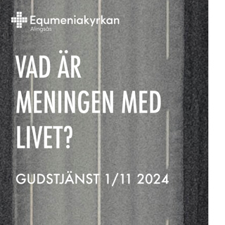 241101 - VAD ÄR MENINGEN MED LIVET? - Niklas Piensoho