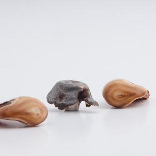 Elk Bullets: Part 3 of Cartridges & Bullets for backcountry hunting