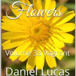 Spring Flowers Volume 33 Vagrant by Daniel Lucas