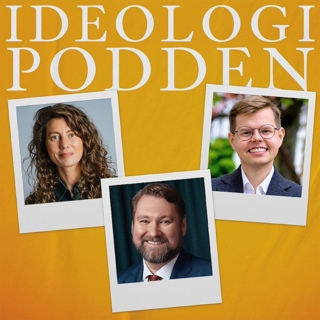 Lögner, förbannade lögner och opinionsundersökningar?
