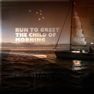 Sailing on Calm Seas • Sunrise Ocean & Breeze Ambience for Study, Sleep & Writing