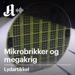 Mikrobrikker og megakrig