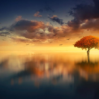 Near Death Experience Showed Me Something I Could've Never Imagined Anita Moorjani (NDE)