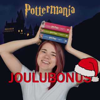 Joulu Tylypahkassa - Bonusjakso