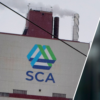 Nestlés bojkott av SCA väcker oro i skogen: ”Fruktansvärda proportioner”