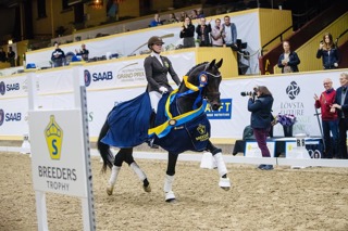 Avsnitt 21. Om Breeders Trophy i dressyr och de viktigast egenskaperna för ett dressyrämne