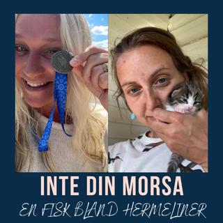En fisk bland hermeliner ❤️