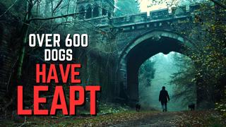 The LEAPING DOG MYSTERY Of Overtoun Bridge