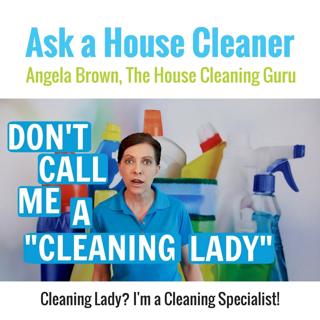 Cleaning Lady? I'm a Cleaning Specialist