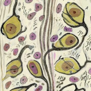 From the archive: Of molecules and memories