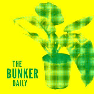 Daily: Leaves mean leaves! LOCKDOWN GARDENING with James Wong