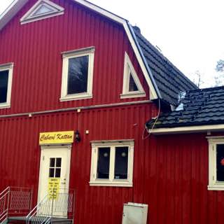 Den sista porrklubben i Svinesund
