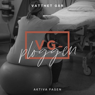 504. VG-ploggen "Så funkar den aktiva fasen" (Repris)