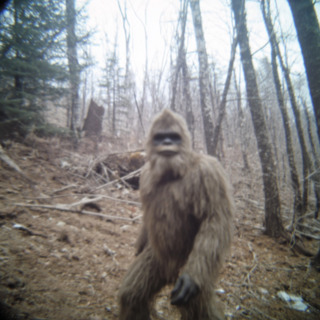 10 TRUE SCARY PARK RANGER HORROR STORIES