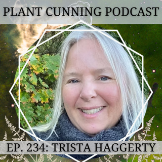 Ep. 234: Earth Energy, Dragons and Faeries with Trista Haggerty