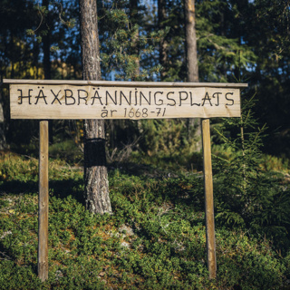 Halshöggs och brändes upp – men släkten lever vidare
