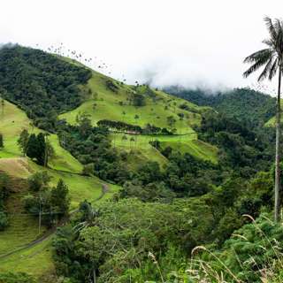 Colombia: Biodiversity Beyond Borders