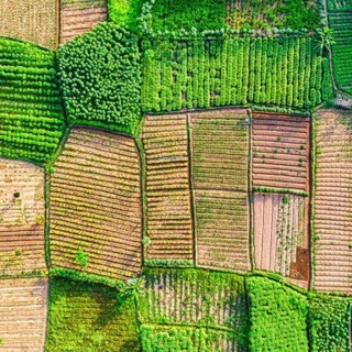 Overcoming the disconnect: environmental protection and armed conflicts