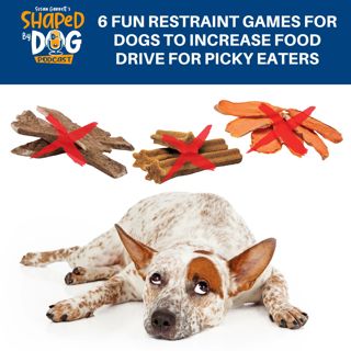 6 Fun Restraint Games For Dogs To Increase Food Drive For Picky Eaters #273