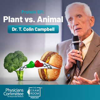 Protein 101 with Dr. T. Colin Campbell: Which Type Is Best For You?