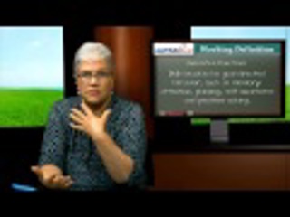 Autism Jargon: Executive Functions