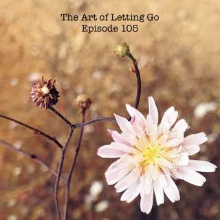 The Art of Letting Go EP 105 (Social Distancing with Julian Michael)