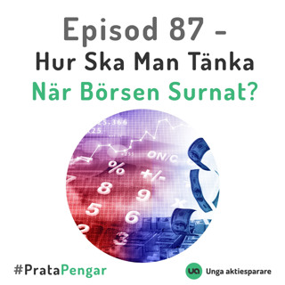 Episod 87 - Hur ska man tänka när börsen surnat?