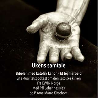 Ukens samtale | Bibelen med katolsk kanon - Et teamarbeid