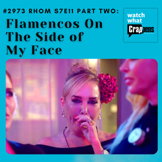 #2973 RHOM S7E11 Part Two: Flamencos On The Side of My Face