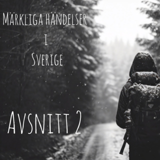 Märkliga händelser i Sverige avsnitt 2