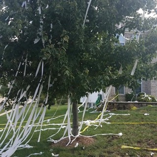 Spencer's Neighbors Got TP'd