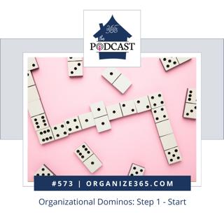 573 - Organizational Dominos: Step 1 - Start