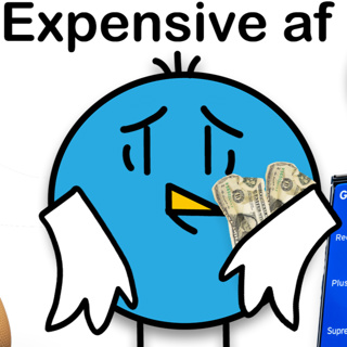Why Tf Is Everything So Expensive...