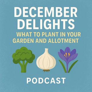 🎧 🌱 December Delights: What to Plant in Your Garden and Allotment