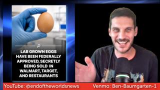 Fake Eggs, Fake Wars and Fake Influencers