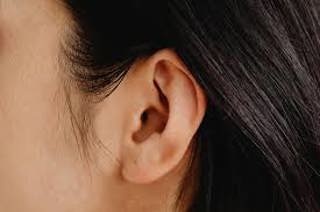 412. Tympanic Membrane Perforations