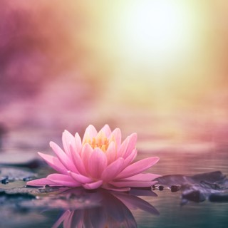 Inner Peace ~ Music For Meditation & Sleep ~ Rest & Rejuvenate
