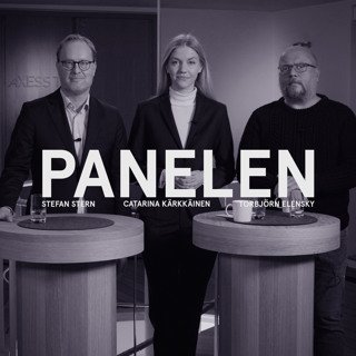 44. Panelen 2022 - Krig i Europa