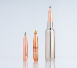 Browning's New 6.8 Western & .280 Ackley